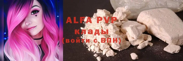 хмурый Абаза