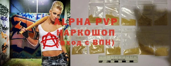 хмурый Абаза